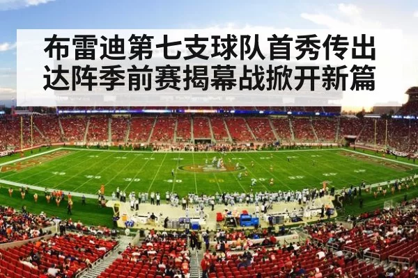 NFL football stadium action
