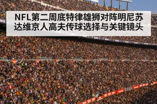football stadium crowd